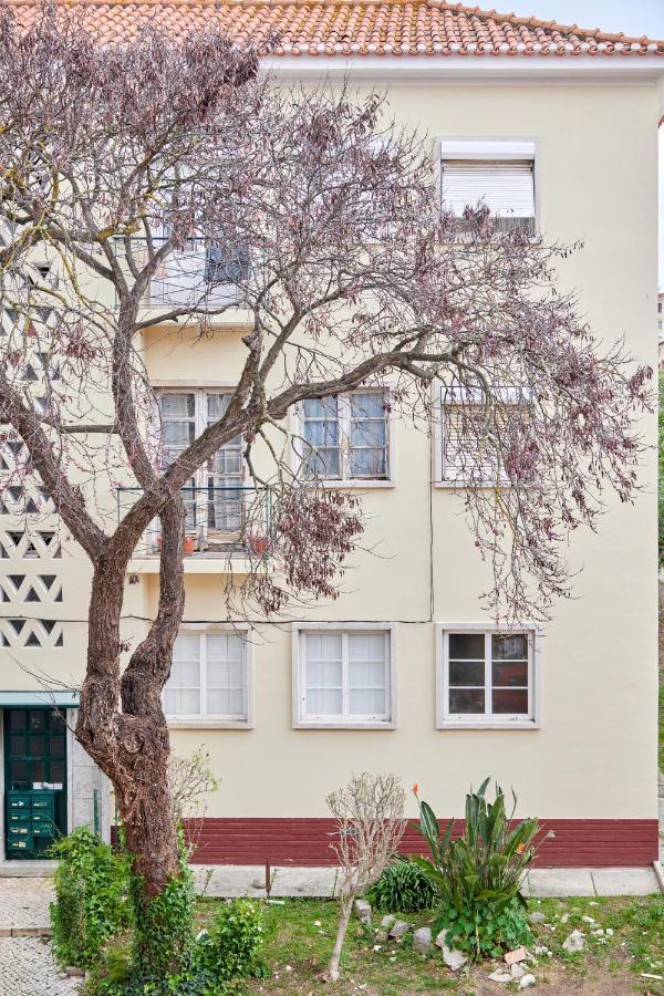 Sunny Renovated Apt With Ac, By Timecooler Lisboa Dış mekan fotoğraf